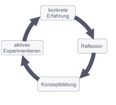 Mediation und Konfliktberatung Freiburg, Antonia Engel, Erfahrungslernen - konkrete Erfahrung, Reflexion, Konzeptbildung, aktives Experimentieren